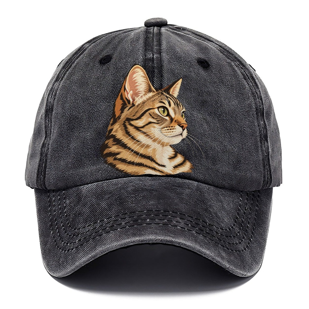 Green-Eyed Tabby Cat Portrait Classic Cap – Graphite