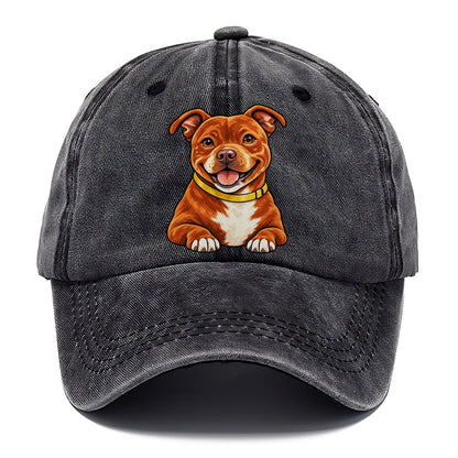Red Staffy Classic Cap – Graphite