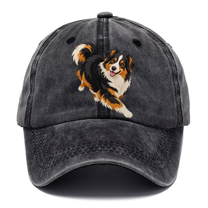 Running Australian Shepherd Classic Cap – Graphite