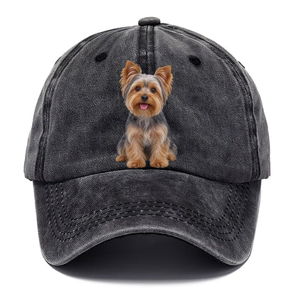 Yorkshire Terrier Sitting Top Breeds Classic Cap – Graphite
