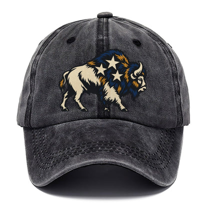 Bison Night Sky Sundown Familiars Classic Cap – Graphite