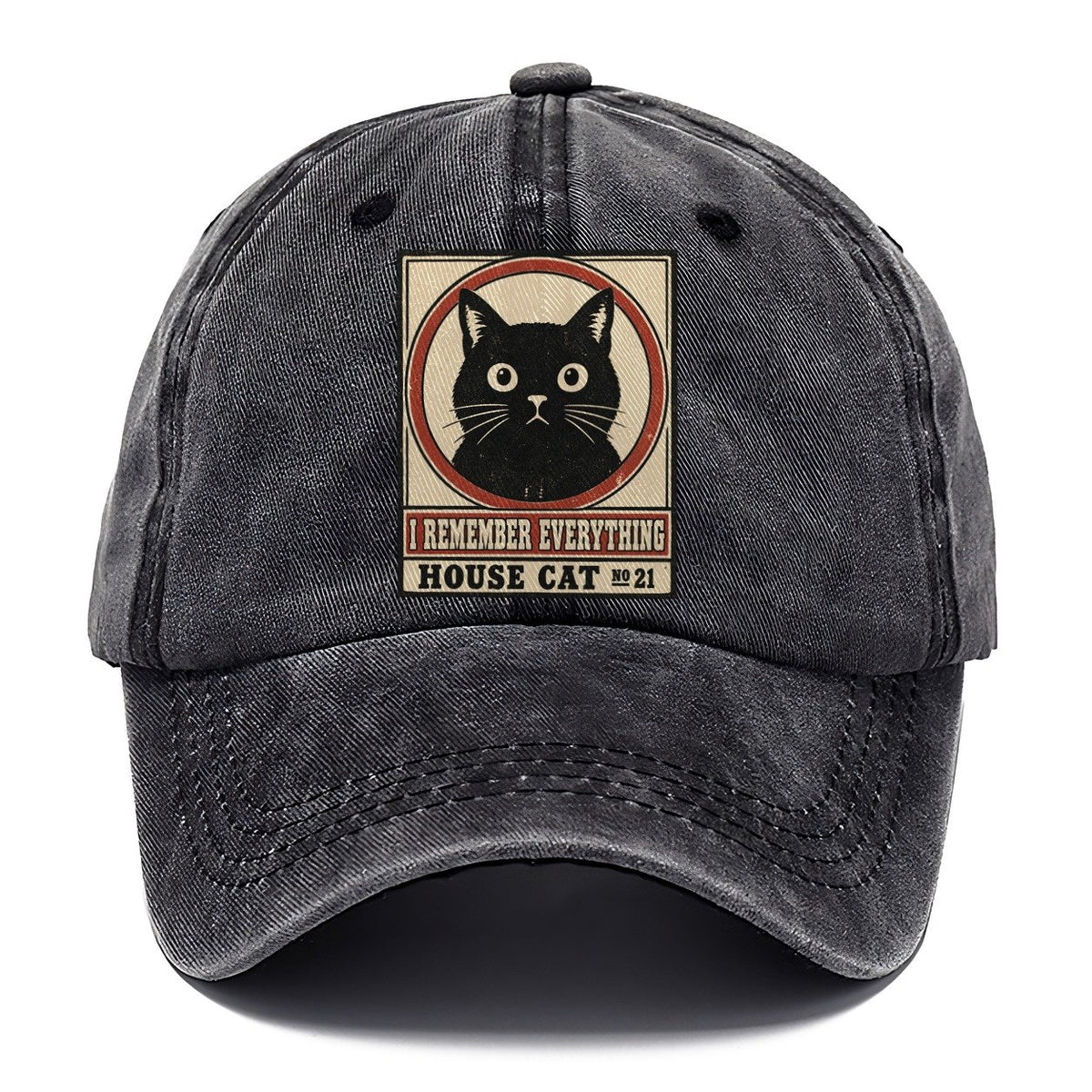 I Remember Everything Neko Says No Classic Cap – Graphite