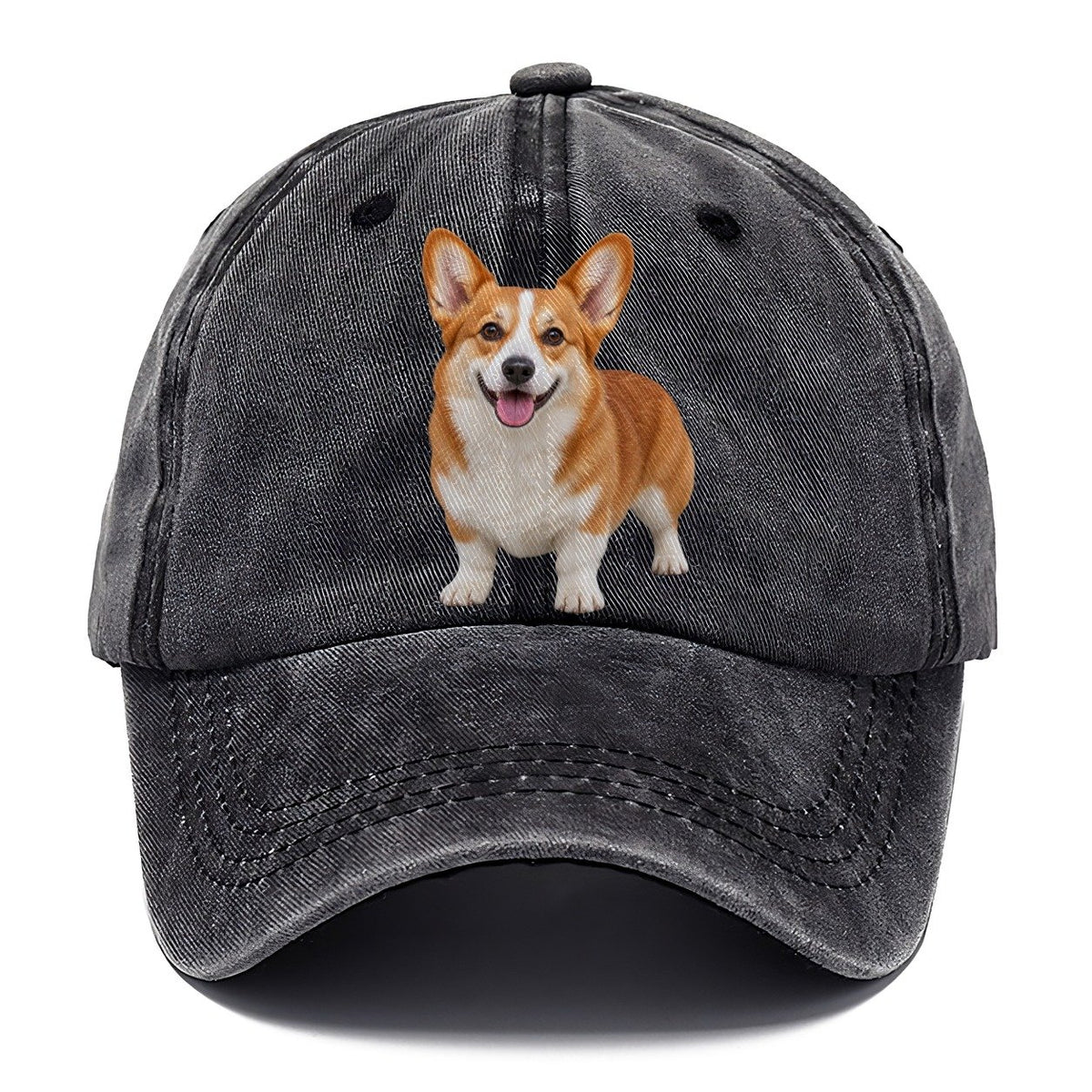 Pembroke Welsh Corgi Standing Front Facing Top Breeds Classic Cap – Graphite