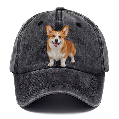 Pembroke Welsh Corgi Standing Front Facing Top Breeds Classic Cap – Graphite