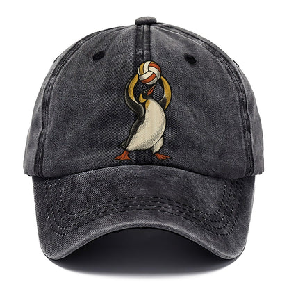 Penguin Volleyball Setter Sundown Familiars Classic Cap – Graphite