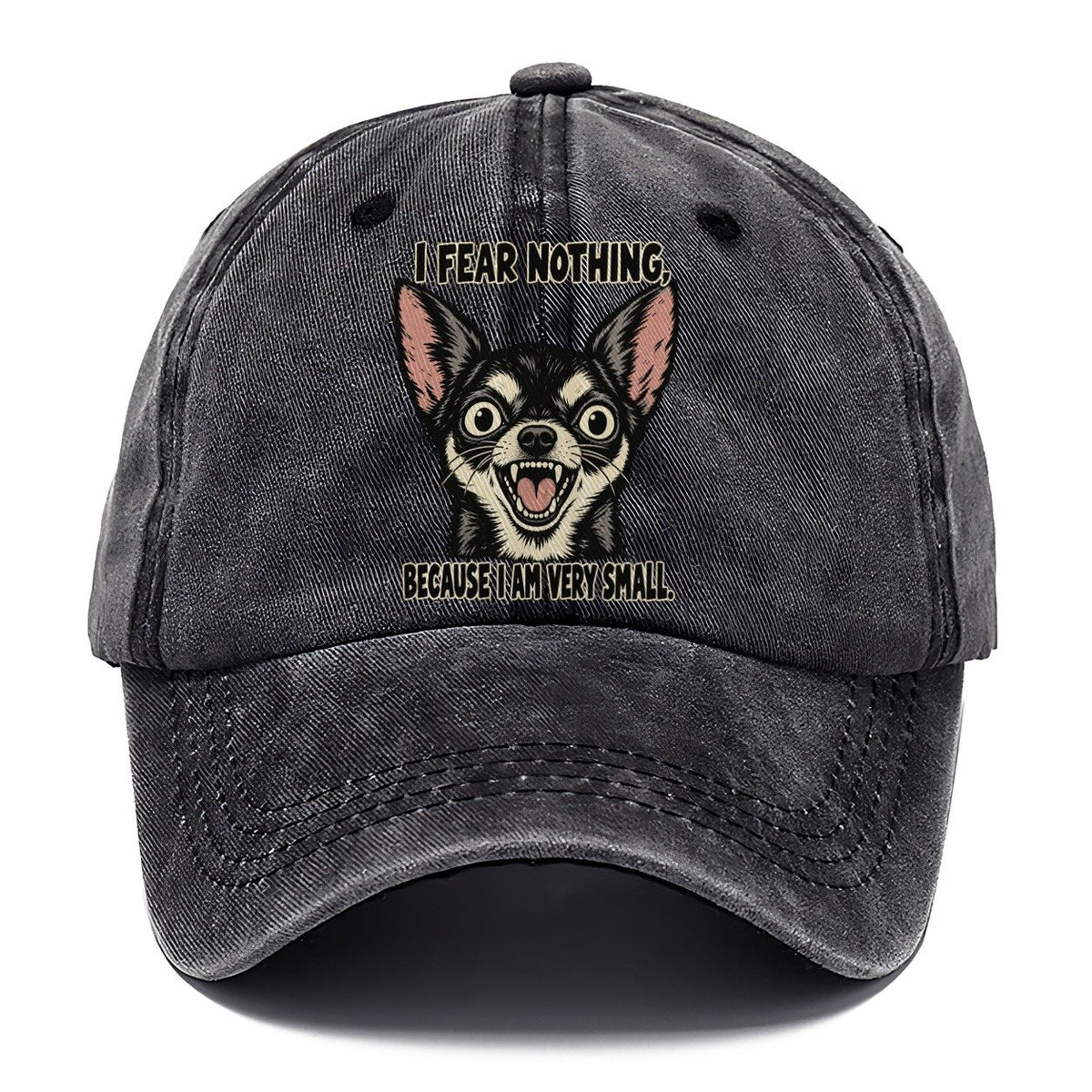 I Fear Nothing Feral Logic Classic Cap – Graphite