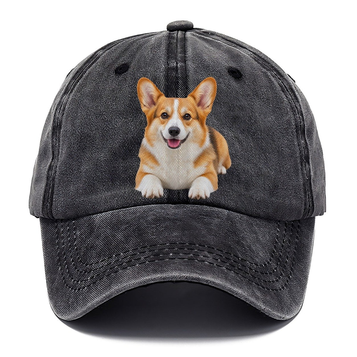 Pembroke Welsh Corgi Lying Down Top Breeds Classic Cap – Graphite