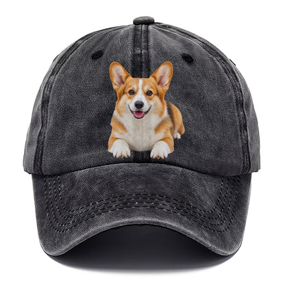 Pembroke Welsh Corgi Lying Down Top Breeds Classic Cap – Graphite