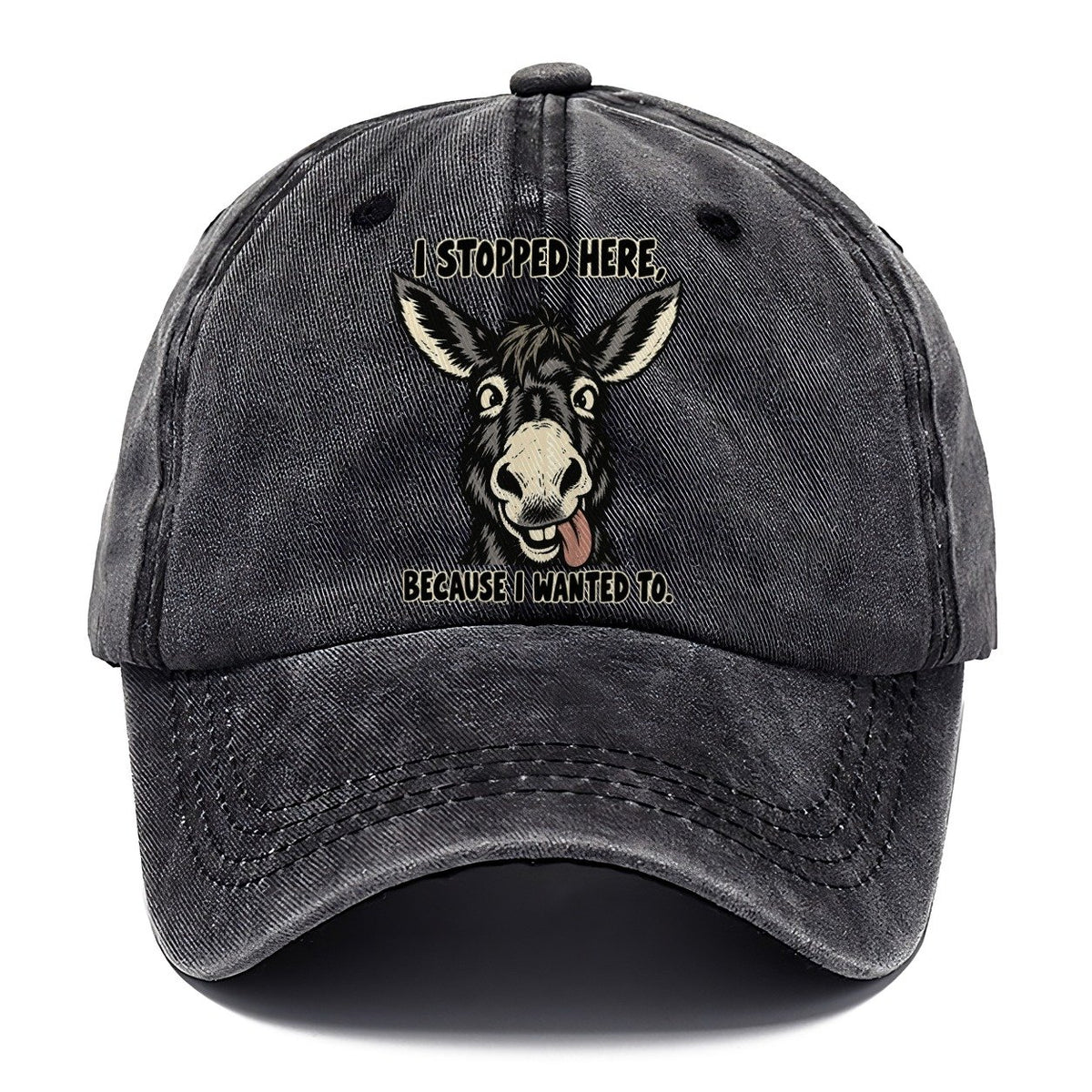 I Stopped Here Feral Logic Classic Cap – Graphite