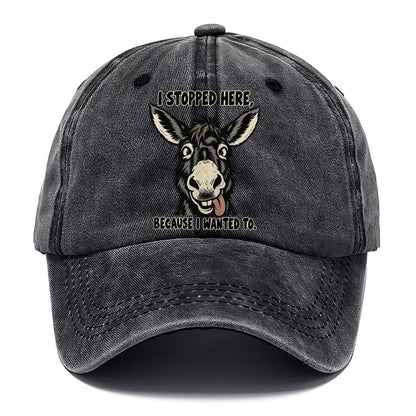 I Stopped Here Feral Logic Classic Cap – Graphite