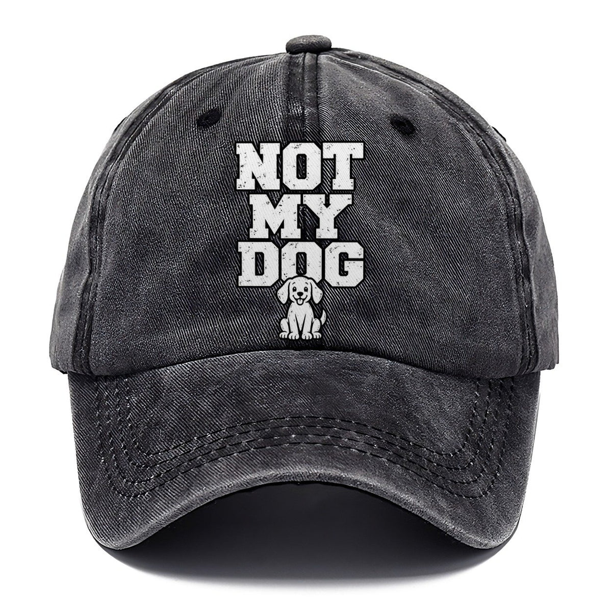 Not My Dog Classic Cap – Graphite