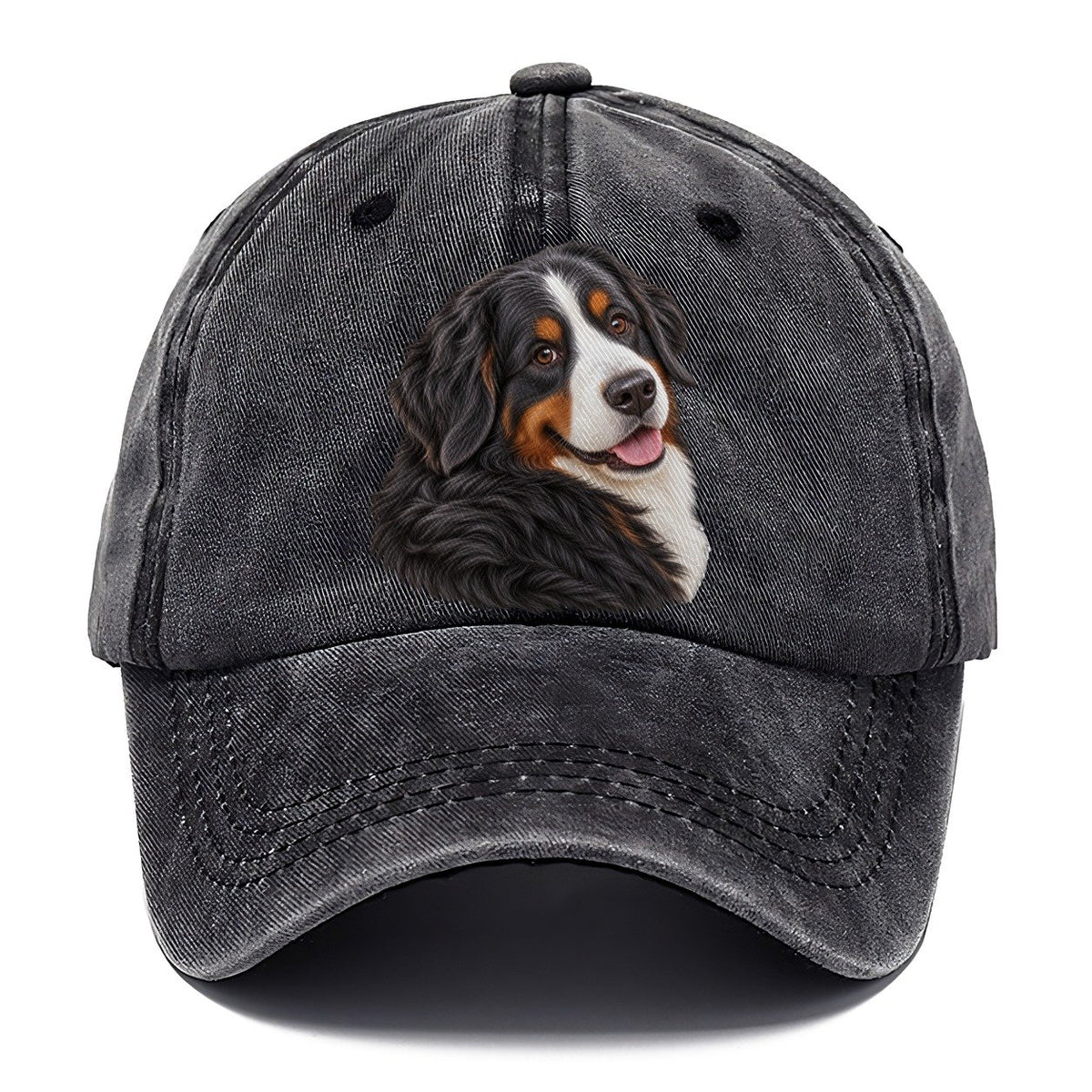 Bernese Over Shoulder Welcome Pastimes Companions Classic Cap – Graphite