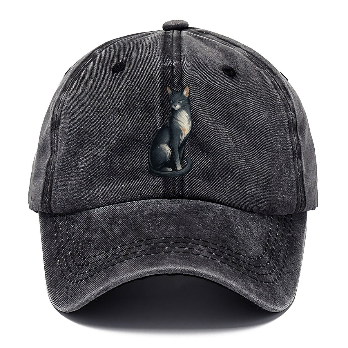 Blue-Eyed Gray Cat Classic Cap – Graphite