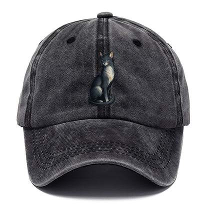 Blue-Eyed Gray Cat Classic Cap – Graphite