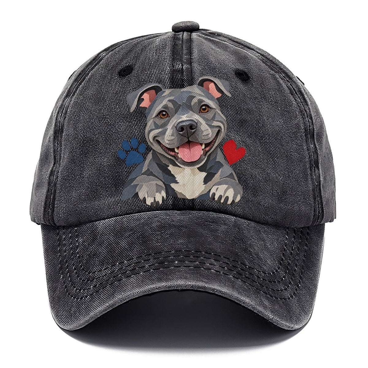 Cut-Paper Staffy Blue Velvet Companions Classic Cap – Graphite