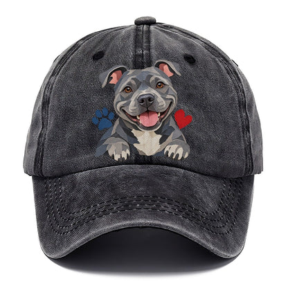Cut-Paper Staffy Blue Velvet Companions Classic Cap – Graphite