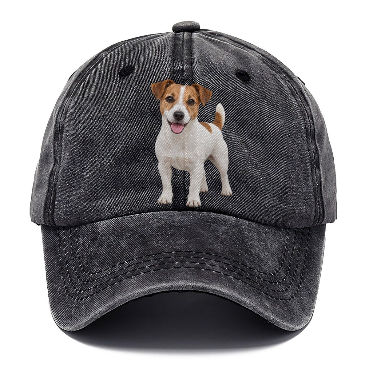 Jack Russell Terrier Standing Top Breeds Classic Cap – Graphite