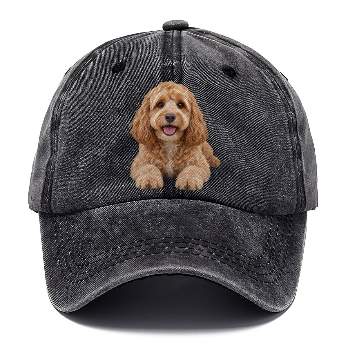 Cockapoo Lying Down Top Breeds Classic Cap – Graphite