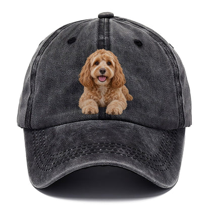 Cockapoo Lying Down Top Breeds Classic Cap – Graphite