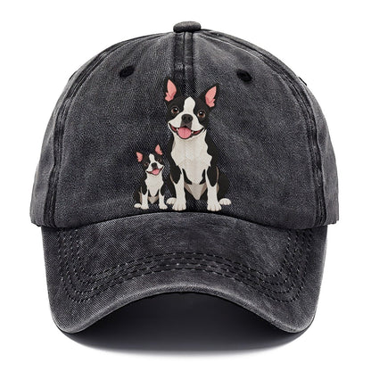 Boston Terrier and Puppy Classic Cap – Graphite