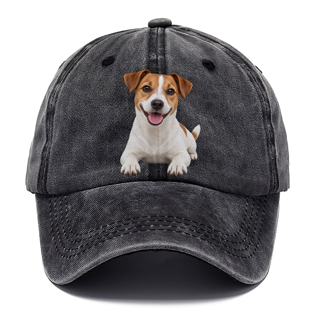 Jack Russell Terrier Lying Down Top Breeds Classic Cap – Graphite