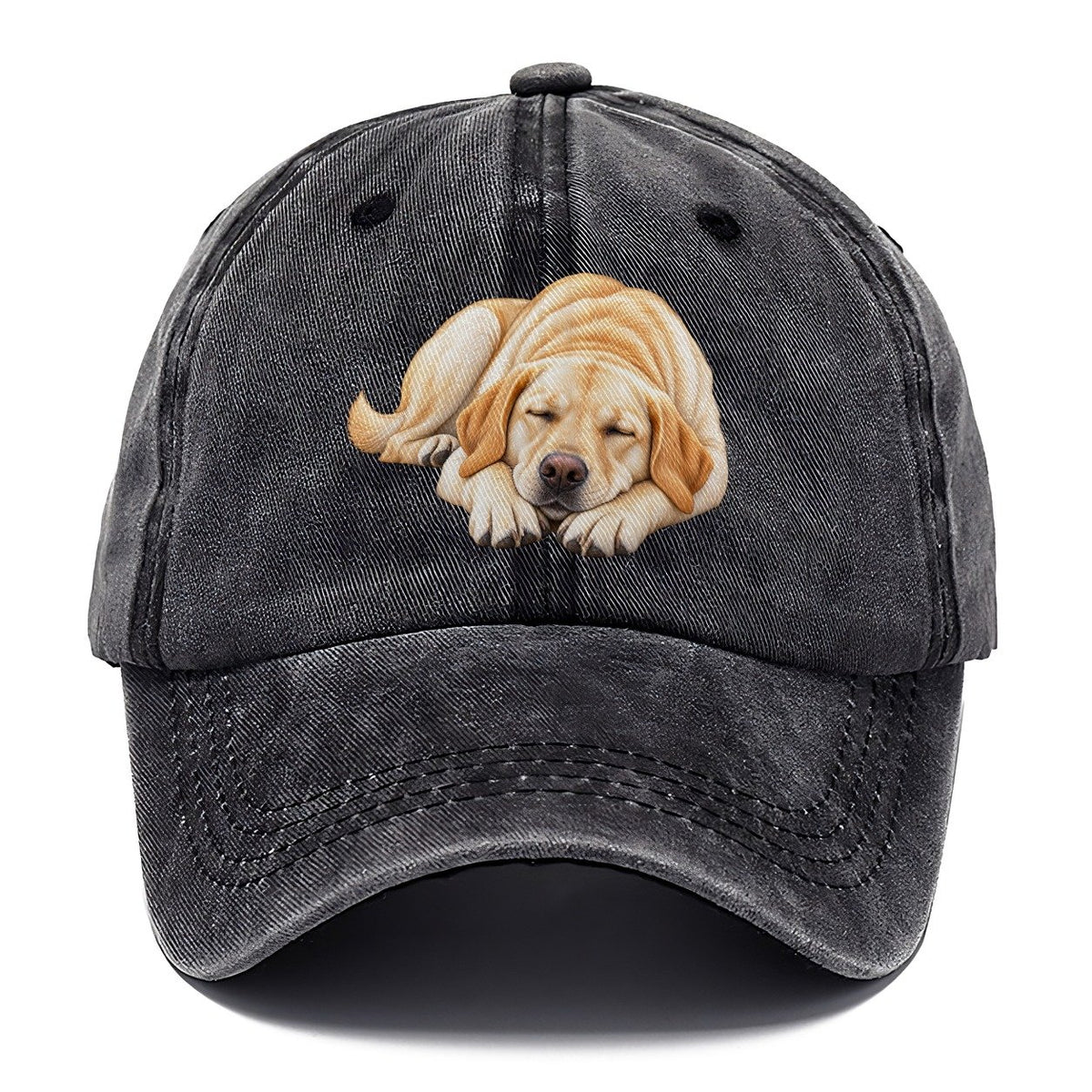 Abstract Labrador Play Bow Classic Cap – Graphite