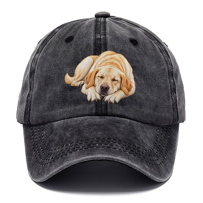 Abstract Labrador Play Bow Classic Cap – Graphite