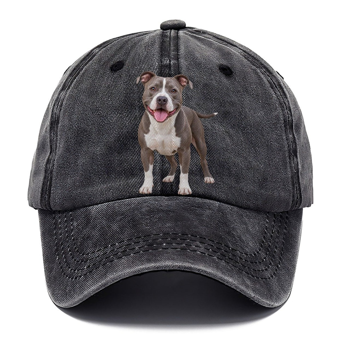 Pit Bull Terrier Standing Top Breeds Classic Cap – Graphite
