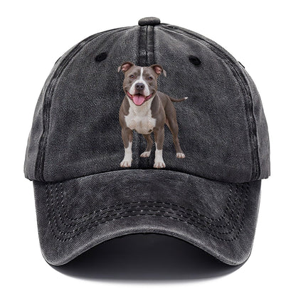 Pit Bull Terrier Standing Top Breeds Classic Cap – Graphite