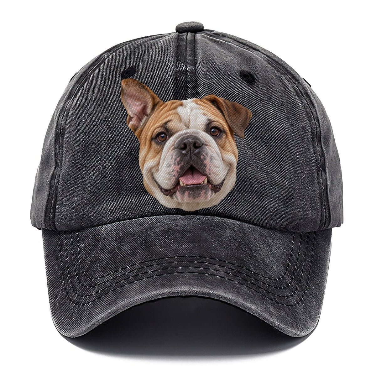 Bulldog One Ear Up Everyday Originals Classic Cap – Graphite
