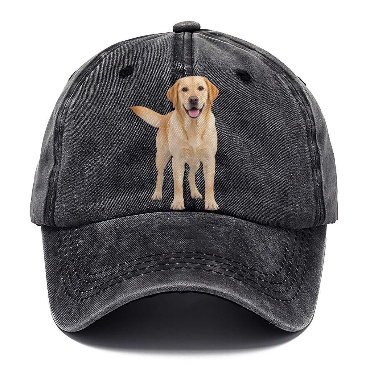 Labrador Retriever Standing Top Breeds Classic Cap – Graphite
