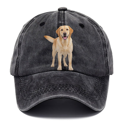 Labrador Retriever Standing Top Breeds Classic Cap – Graphite