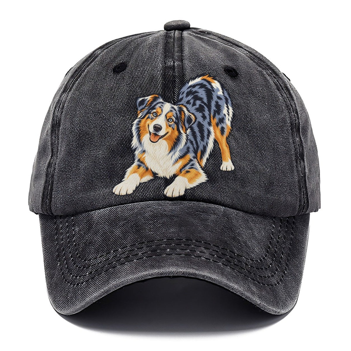 Blue Merle Australian Shepherd Classic Cap – Graphite