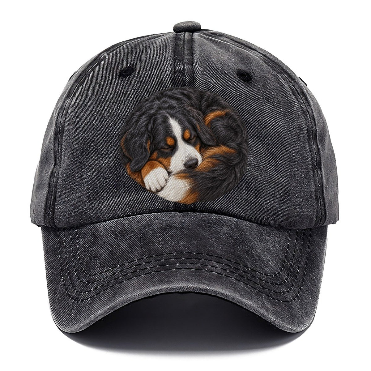 Bernese Round Hearth Nap Pastimes Companions Classic Cap – Graphite