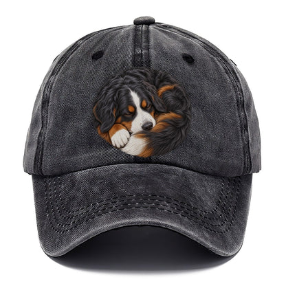 Bernese Round Hearth Nap Pastimes Companions Classic Cap – Graphite