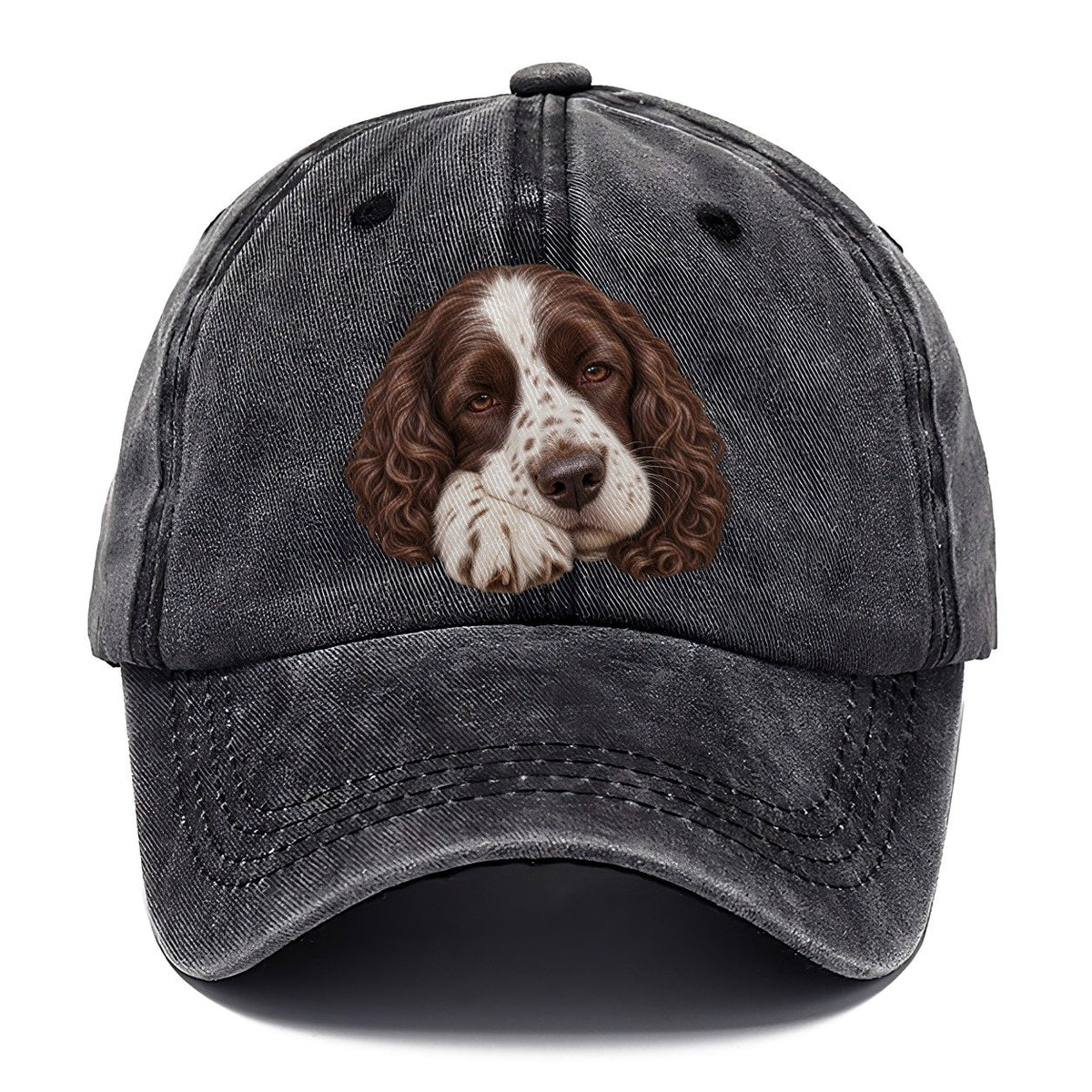 Springer Sleepy Paw Fold Pastimes Companions Classic Cap – Graphite