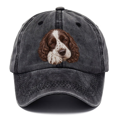 Springer Sleepy Paw Fold Pastimes Companions Classic Cap – Graphite