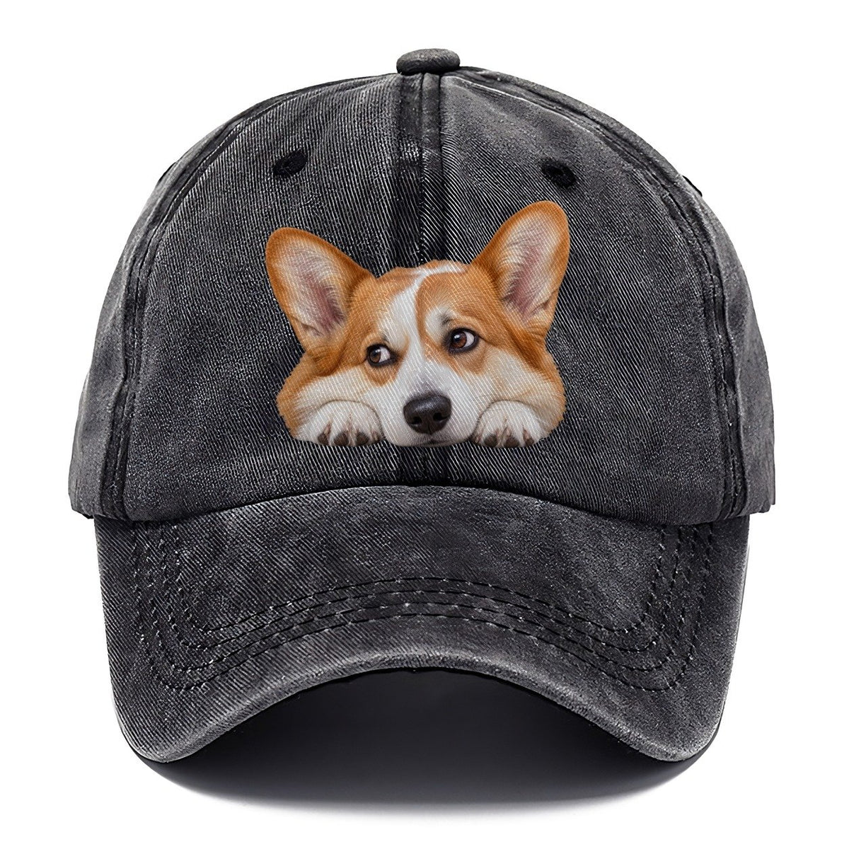 Corgi Resting Chin Character Club Classic Cap – Graphite