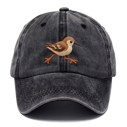 Sandpiper Tiny Run Classic Cap – Graphite
