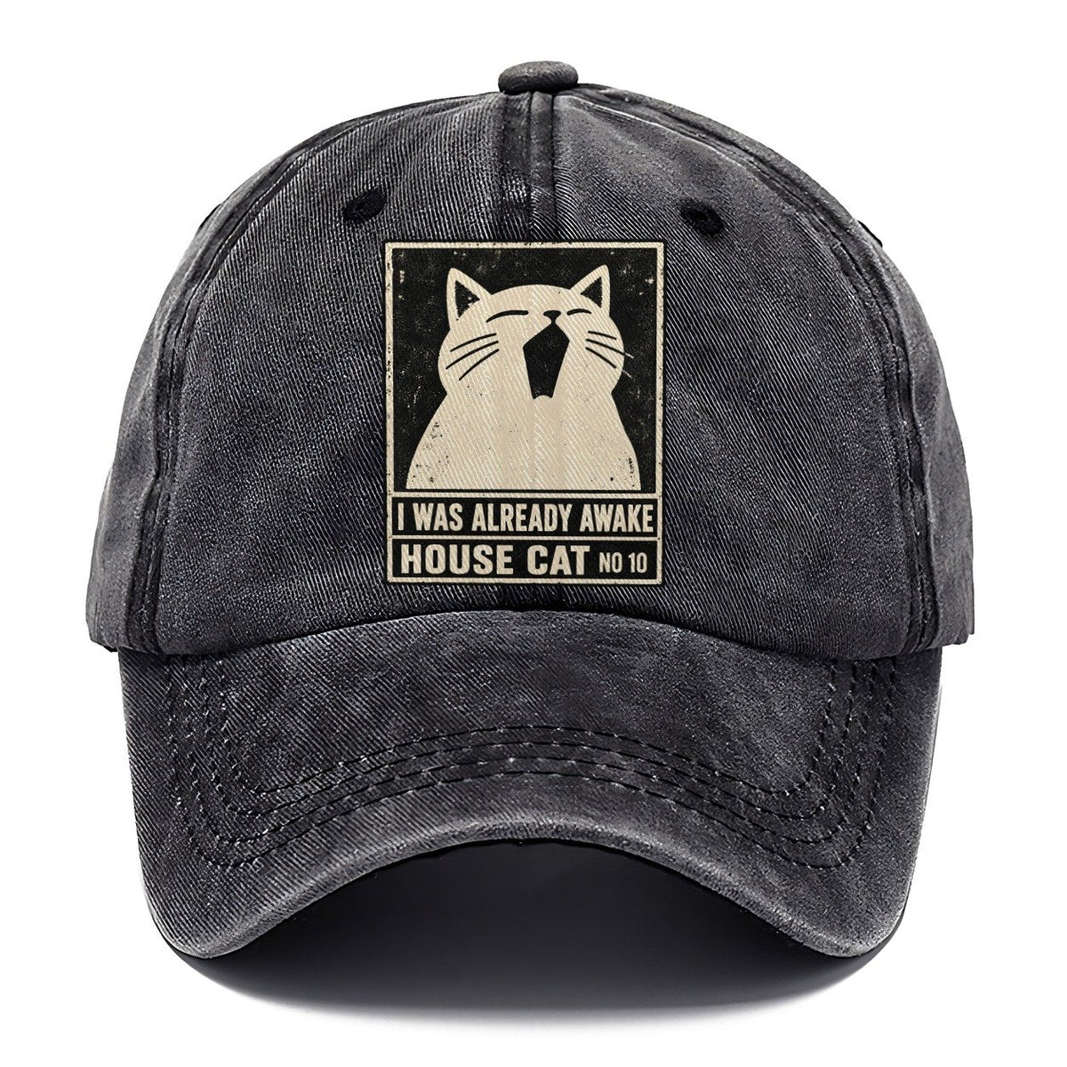 I Was Already Awake Neko Says No Classic Cap – Graphite