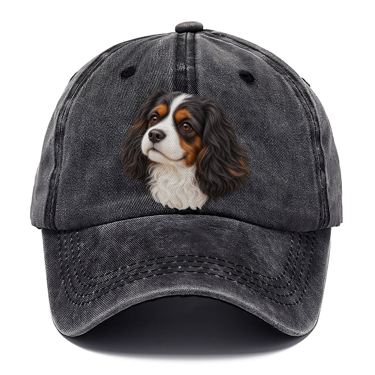 Cavalier Tricolour Smile Pastimes Companions Classic Cap – Graphite