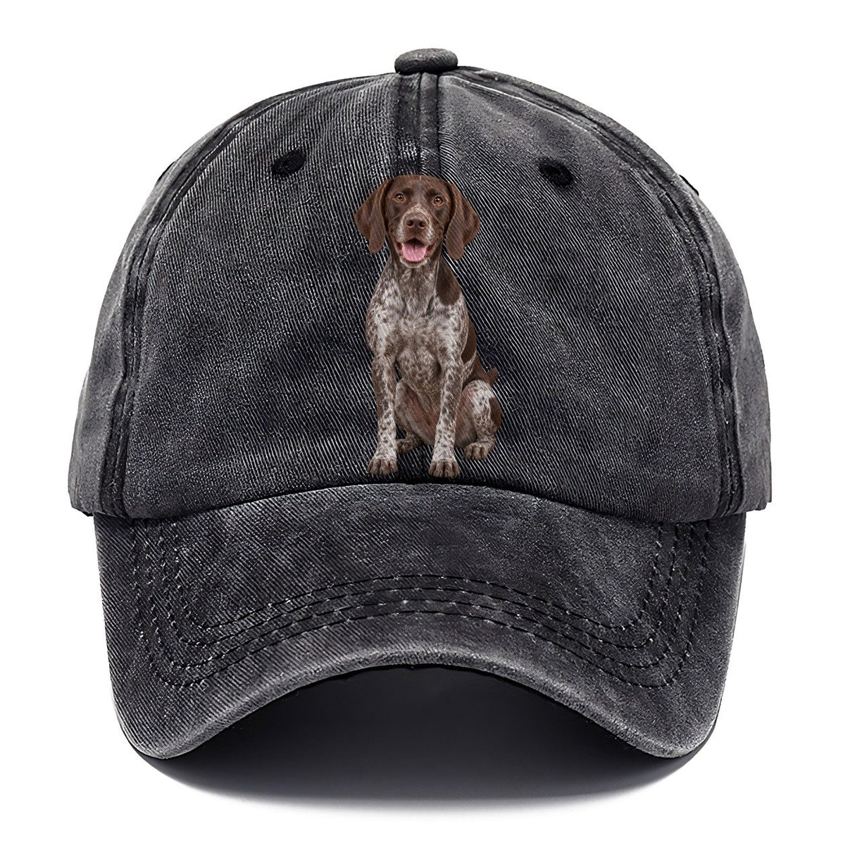 German Shorthaired Pointer Sitting Top Breeds Classic Cap – Graphite