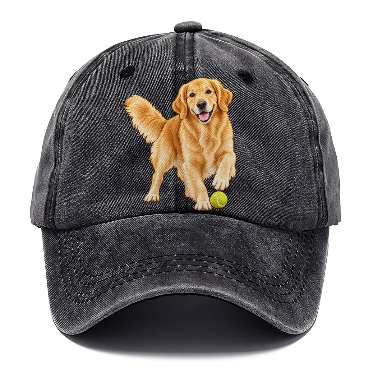 Golden Retriever with Tennis Ball Classic Cap – Graphite