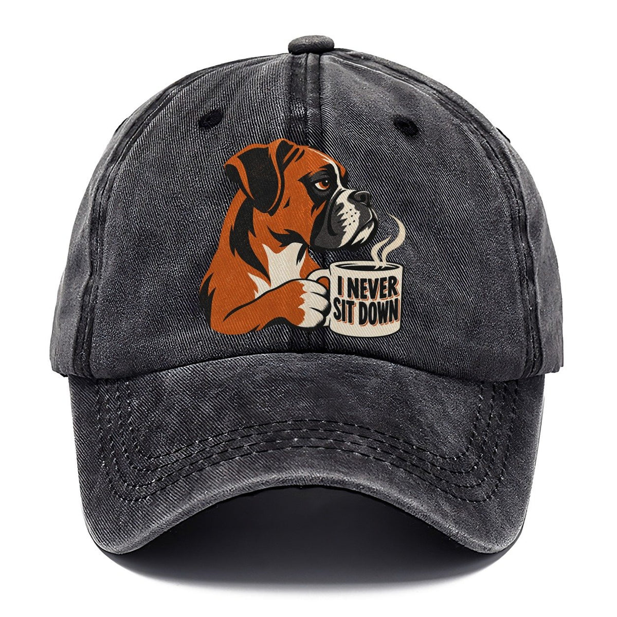 Boxer Dog I Never Sit Down Coffee Classic Cap – Graphite