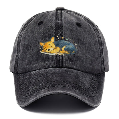 Sleeping Fox Curled Up Classic Cap – Graphite
