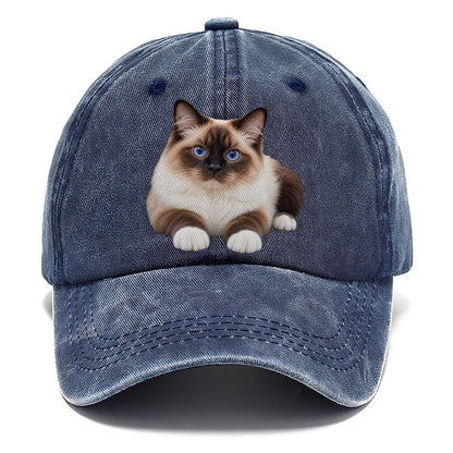 Birman Reclining Paws Forward Realistic Cat Portrait Classic Cap – Twilight Navy