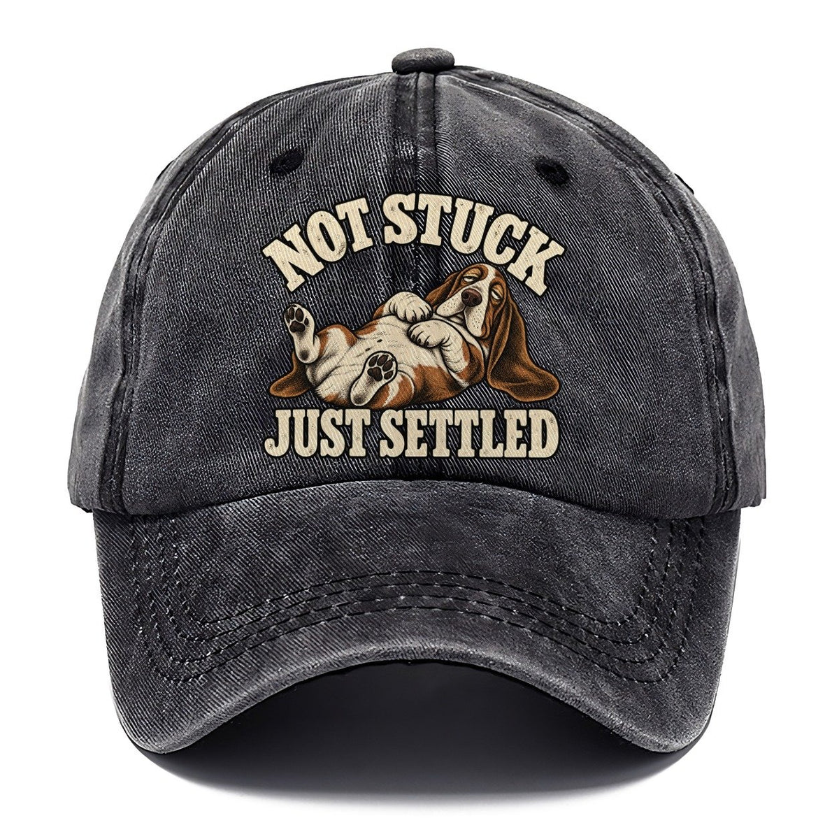 Basset Comfortably Settled Character Club Classic Cap – Graphite