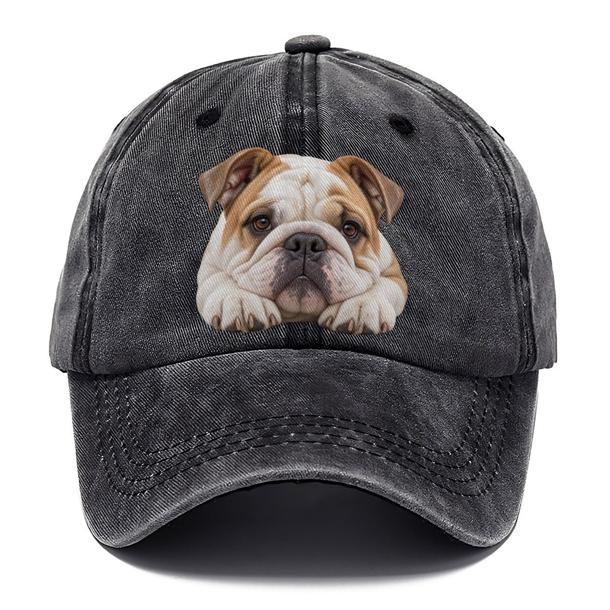 Bulldog Paw Pillow Character Club Classic Cap – Graphite