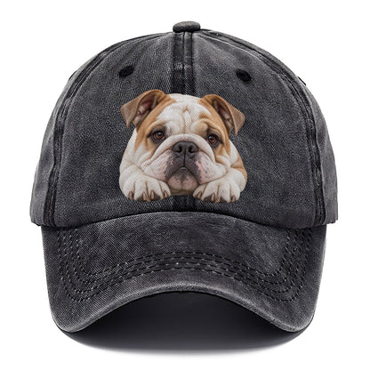 Bulldog Paw Pillow Character Club Classic Cap – Graphite