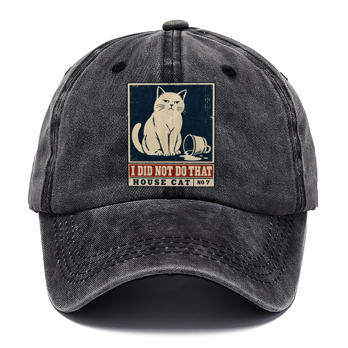 I Did Not Do That Neko Says No Classic Cap – Graphite